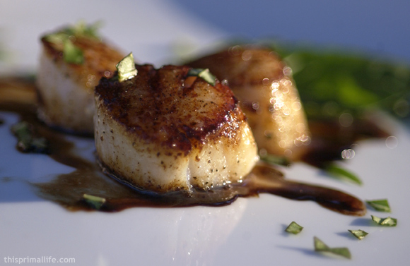 Scallops