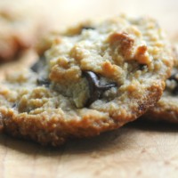 Sort of Almost Primal Chocolate Chip Cookies and Other Recipes