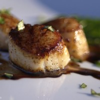 Carmelized Scallops with Balsamic Reduction Sauce Recipe